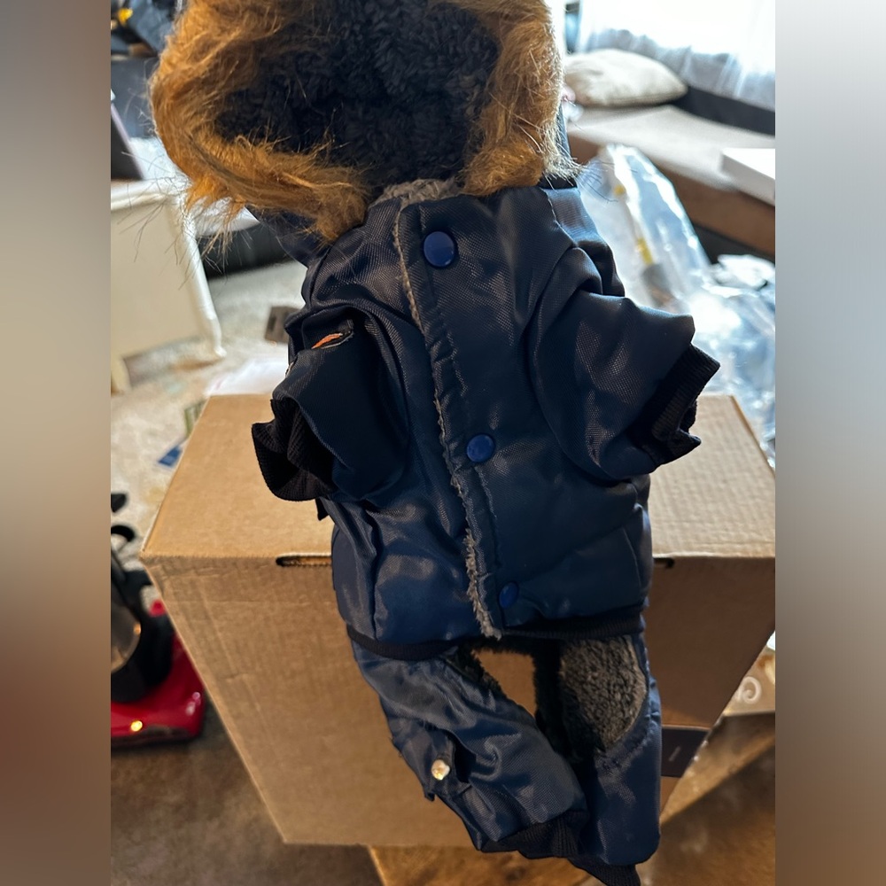 Size M Dog coat - never worn - too big for my chihuahua